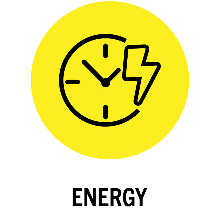 Energy Web Icon