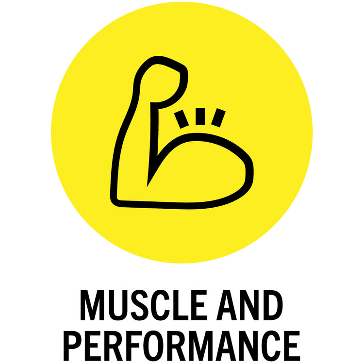 Muscle and Performance Icon