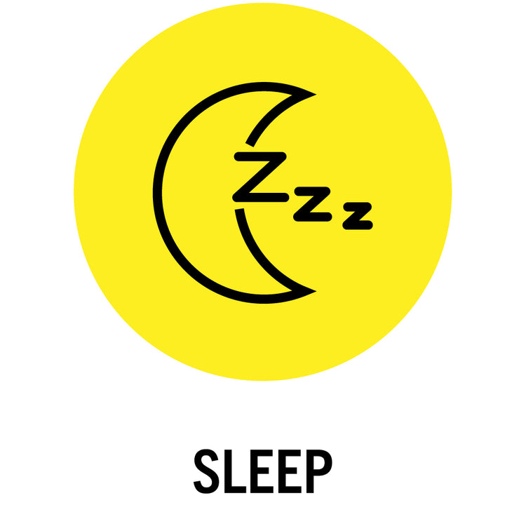 Sleep Web Icon