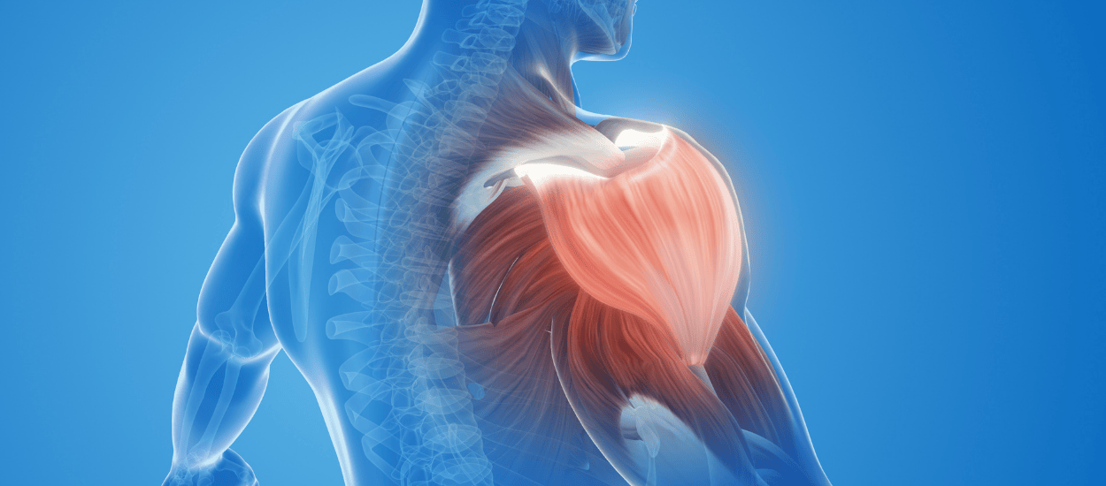 Are You Rebuilding the Right Tissue After Injury?