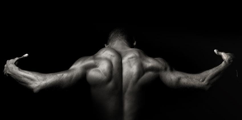 How To Increase Muscle Mass Quick, Smart