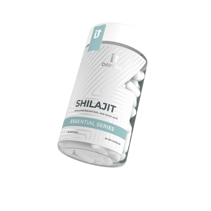 Day One Shilajit (500mg/c)