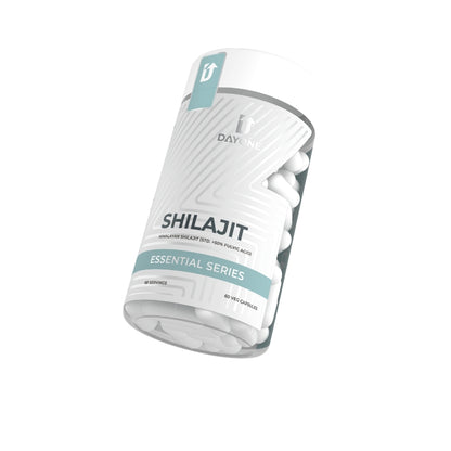 Day One Shilajit (500mg/c)