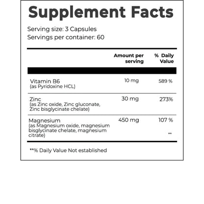 Day One ZMA Zinc-Magnesium-B6