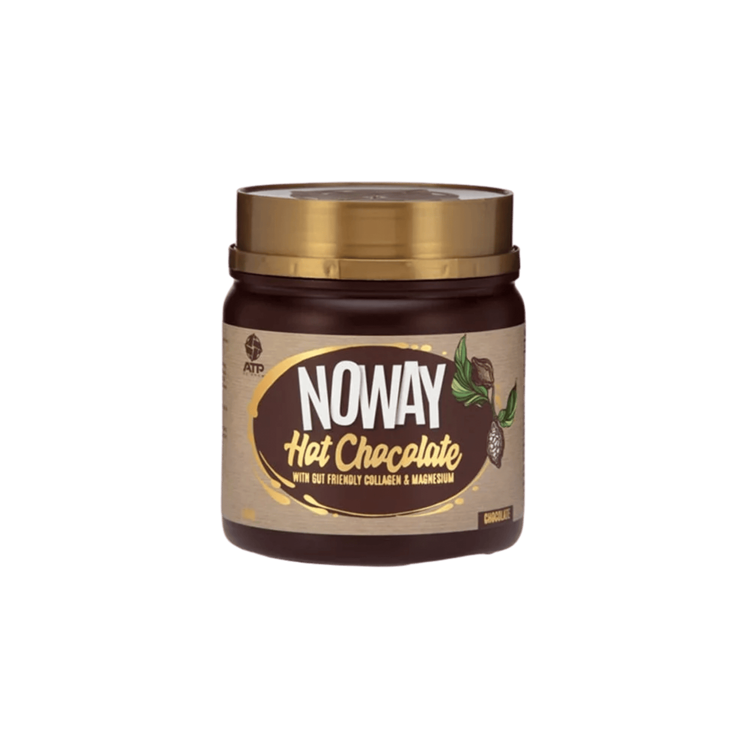 ATP Science Noway Hot Chocolate