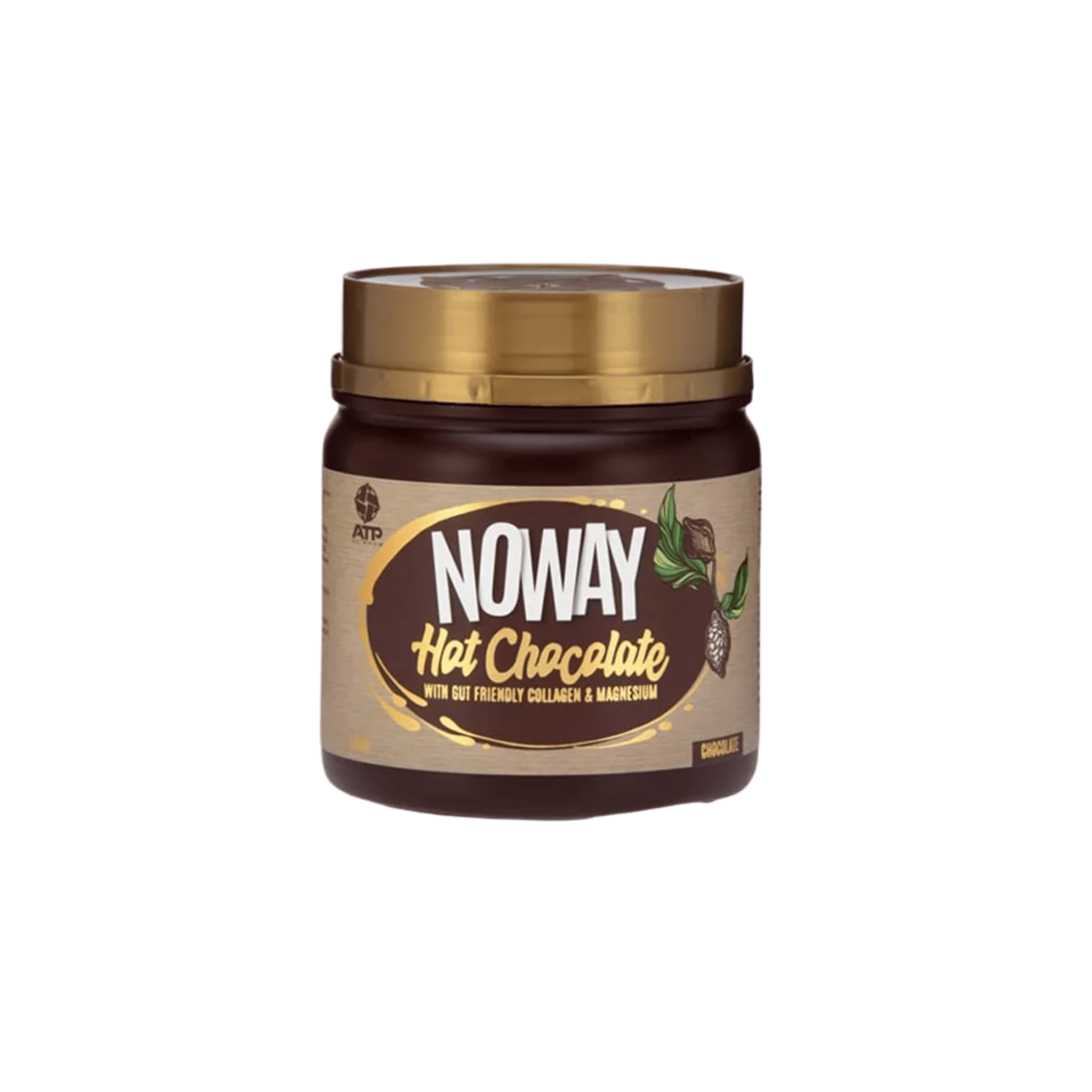 ATP Science Noway Hot Chocolate